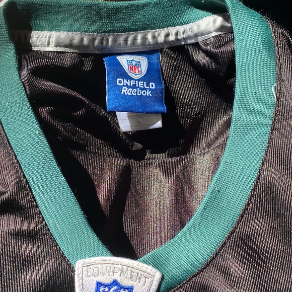 NFL GAME WORN EAGLES NFL REGGIE BROWN   31” long x 24” wide - Picture 6 of 7